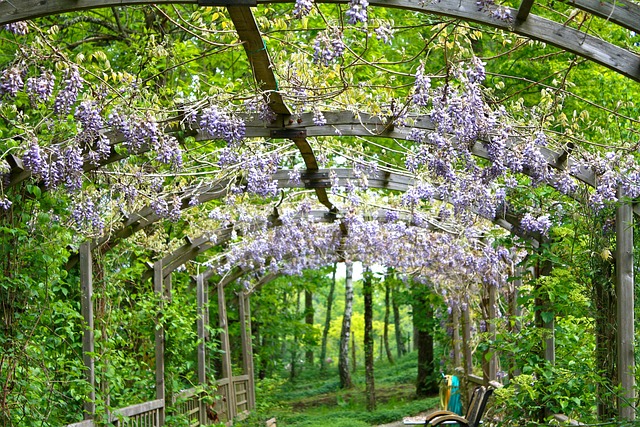 Krásná pergola